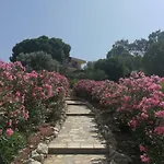 Teras Foça