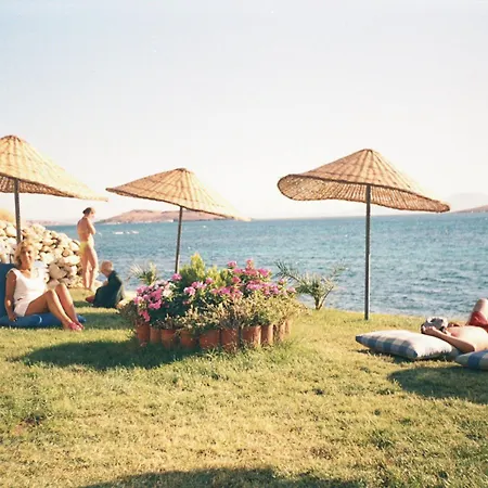 بيت ضيافة Teras