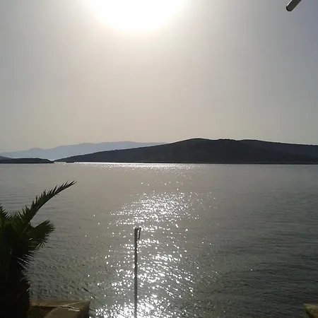 Guest house Teras Foca