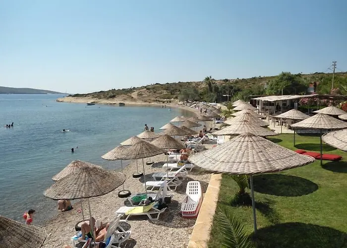 Teras Foça