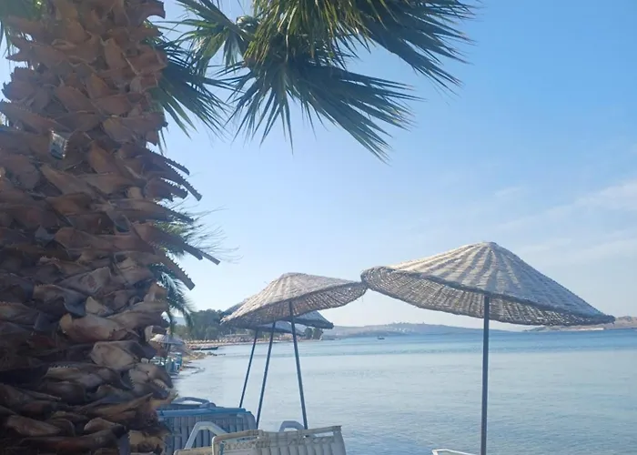 Teras Pensión Foça