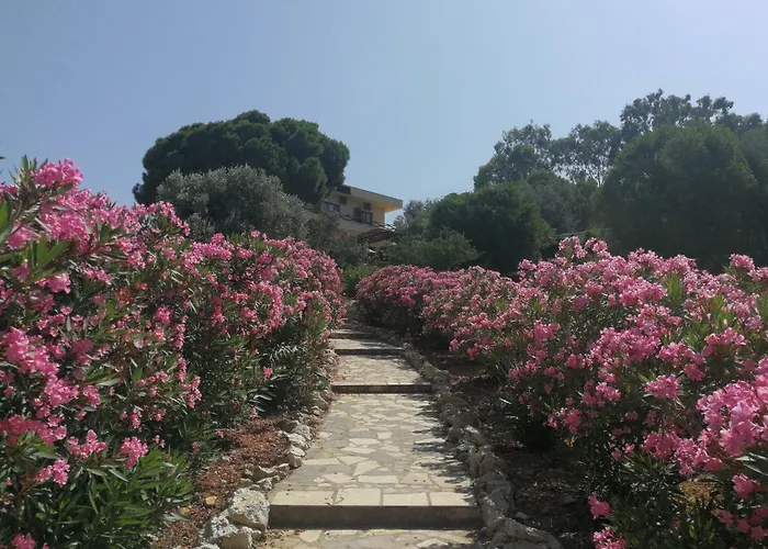 Teras Foça