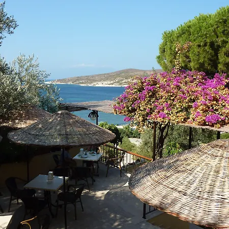 Teras 12 Adults Only Affittacamere 3*