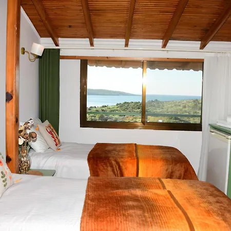 Teras 12 Adults Only 3*