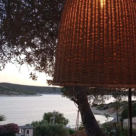 Affittacamere Teras 12 Adults Only Foça