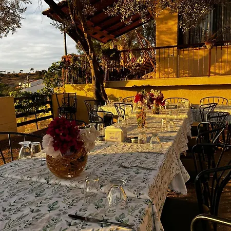 Teras 12 Adults Only Affittacamere 3*