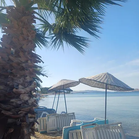 Teras 12 Adults Only Affittacamere Foça