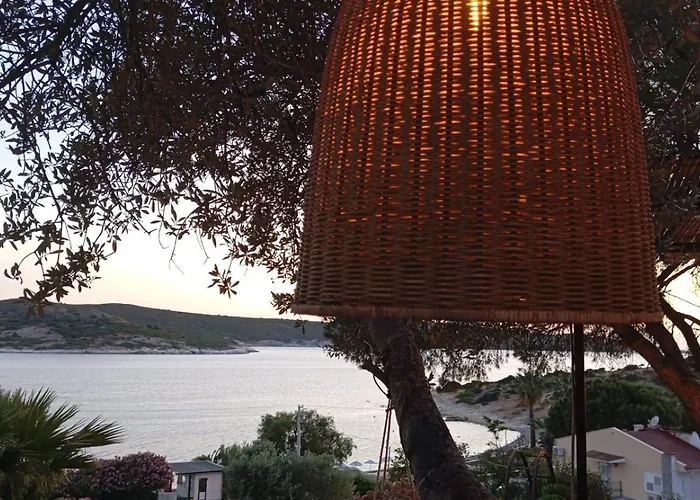 Πανσιόν Teras Foca