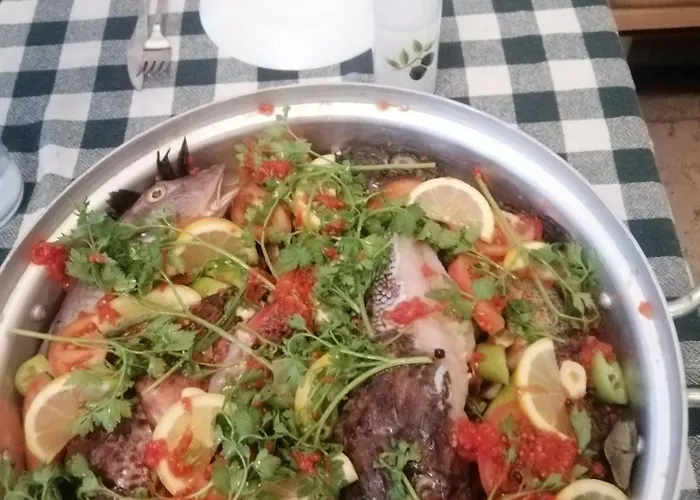 Πανσιόν Teras Foca