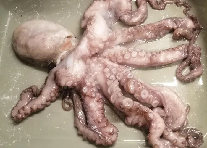 Teras Πανσιόν 3*