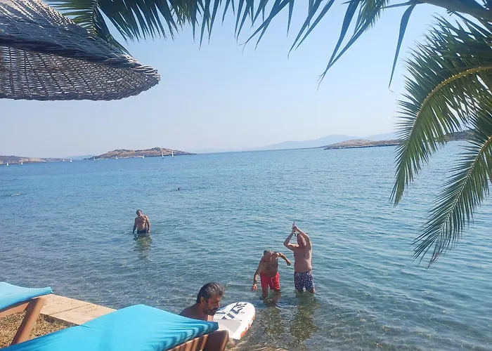 Teras Πανσιόν