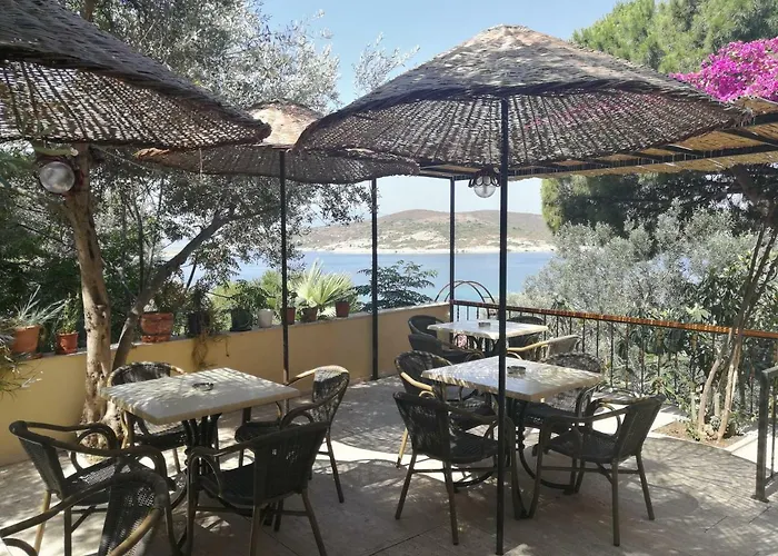 Гостевой дом Teras Фоча